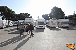 Santa Ninfa 19 11 2016 111.jpg